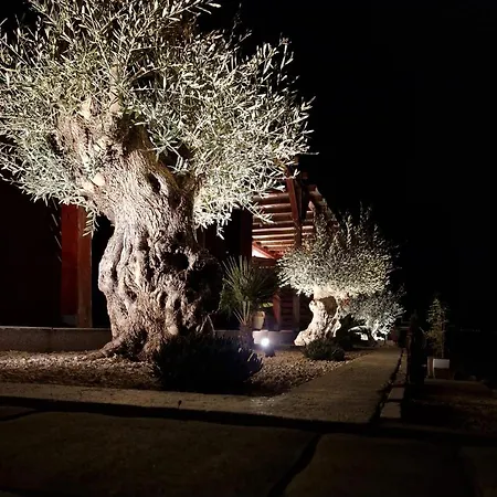 דירה Designer Stone Amareta מסלניקה